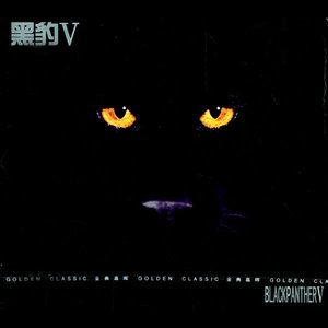 黑豹乐队专辑《黑豹V》封面图片