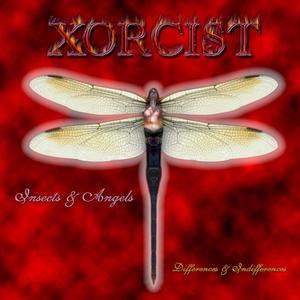 Insects & Angels (Differences & Indifferences)