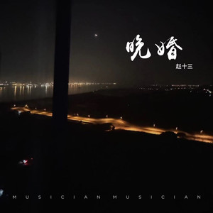 晚婚 （我从来不想独身）Mp3下载-赵十三