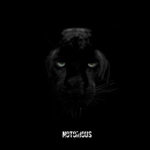 NotoriousMp3下载-Maga