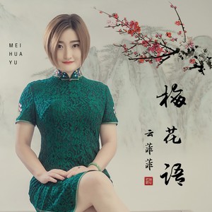 梅花语 - 云菲菲 - qq音乐-千万正版音乐海量无损曲库