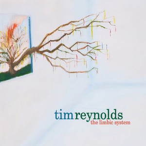 The Limbic System (Explicit)