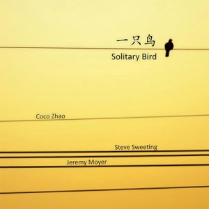 Solitary Bird