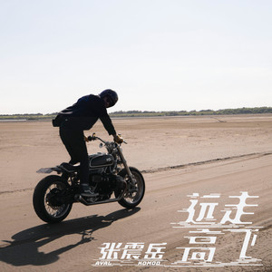 张震岳专辑《远走高飞》封面图片