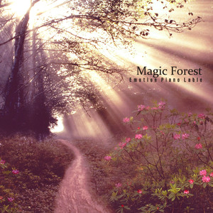 마법의 숲 (A Magical Forest)