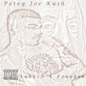 Lookin 4 Freedom