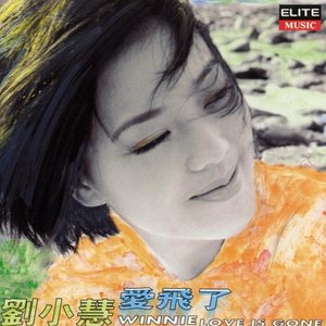 刘小慧专辑《爱飞了》封面图片