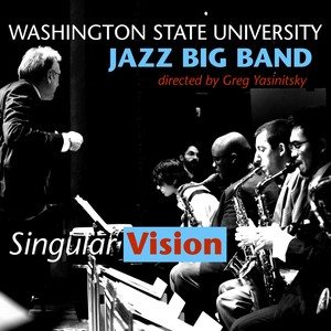 Singular Vision (非凡愿景)