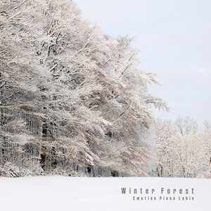 winter forest( )
