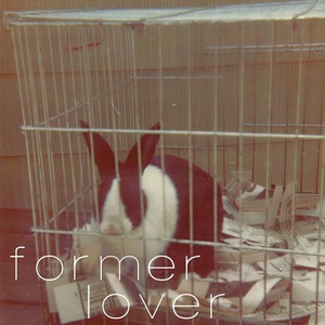 Rabbits