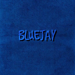 bluejay