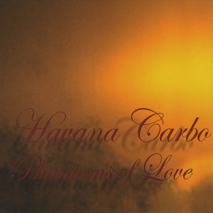 Phantoms of Love