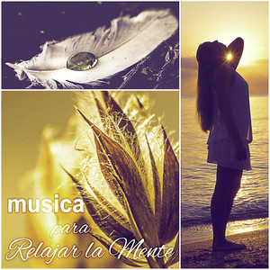 Musica para Relajar la Mente - Música SPA para Masaje y Relajación Ejercicios, Relaje Su Cuerpo y Su Alma Usando Aromaterapia, Sonidos de la Naturaleza, Reiki, Yoga y Ayurveda Música se Calmara. Wellness y SPA, Musica de Meditacion