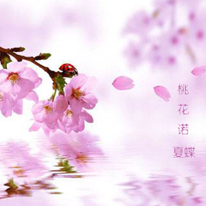 桃花诺