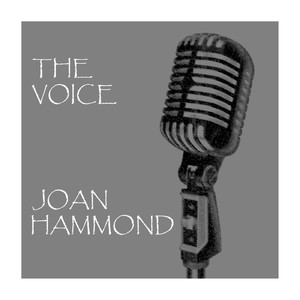 The Voice (声音)