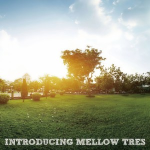 INTRODUCING MELLOW TRES