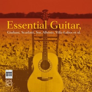 Essential Guitar