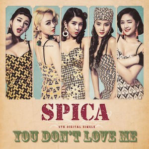 You Don't Love Me (你不爱我)