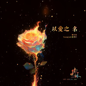以爱之名(网剧《晴晚之林》插曲)