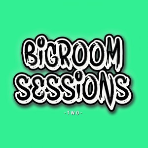 Bigroom Sessions 2