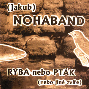 Ryba nebo pták