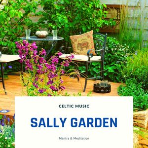 Sally garden,sally garden简谱 sally garden - celtic music