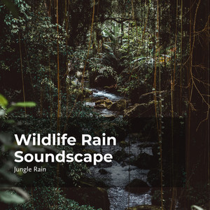 wander in the wilds - jungle rain/deep rain sampling/nature and