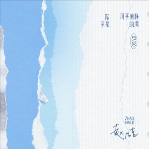 你不是风平浪静的海Mp3下载-赵乃吉