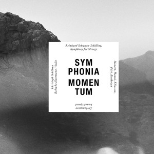 Symphonia Momentum