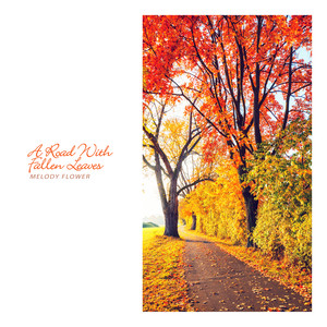 낙엽이 쌓인 길 (A Road With Fallen Leaves)