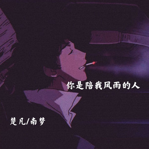 你是陪我风雨的人 (伴奏)