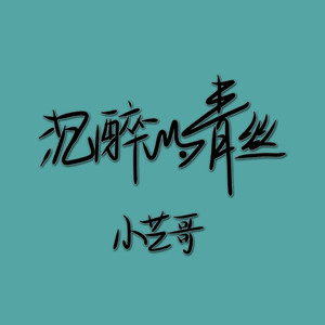 沉醉的青丝