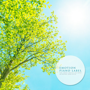 자연의 소리와 함께 듣는 청아한 감성 피아노 (Clean Emotion Piano)
