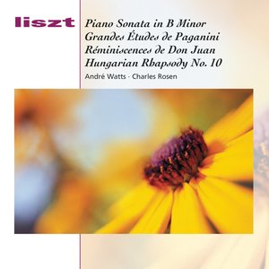 Piano Sonata (钢琴奏鸣曲)