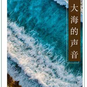 海浪张玮伽mp3下载