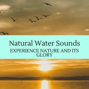 natural water sounds - experience nature and its glory