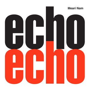 Echo (回声)