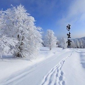 半生雪 (抖音热门版)