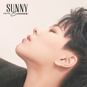 Sunny(热度:24)由主唱卑微A酱翻唱，原唱歌手火箭少女101Sunnee