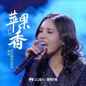 苹果香 （黑大婶版）Mp3下载-黑大婶回乡带娃