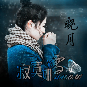 寂寞如雪(热度:77)由欧美加翻唱，原唱歌手晓月