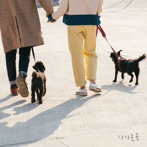 시시콜콜