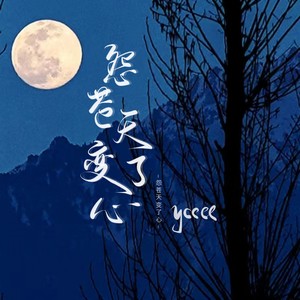 怨苍天变了心 （氛围版）Mp3下载-ycccc