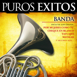 puros xitos: banda