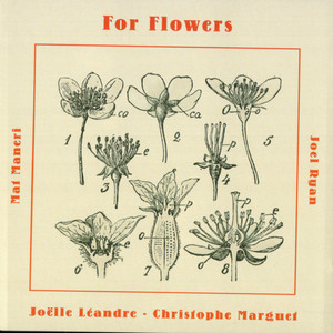 For Flowers
