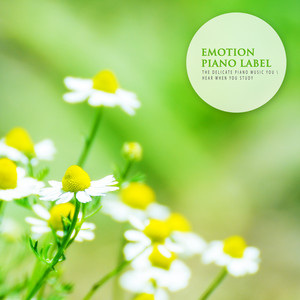 공부할 때 듣는 섬세한 피아노 연주곡 (The Delicate Piano Music You Hear When You Study)