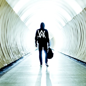 Faded(热度:44)由Love♡Dearly翻唱，原唱歌手Alan Walker