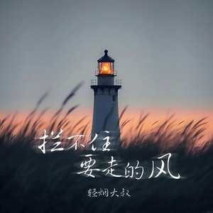 拦不住要走的风Mp3下载-轻烟大叔