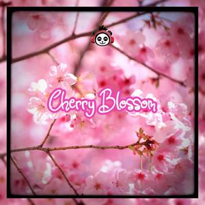 cherry blossom