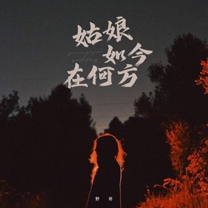 姑娘如今在何方Mp3下载-野哥